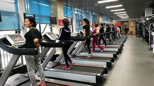健身俱乐部 全民健身计划的重要推动者与团体运动热潮