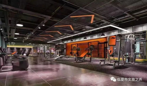 临夏市首家游泳健身俱乐部即将开业，开启健康生活新篇章