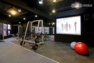 249健身俱乐部超值优惠方案 - 够麻吉平台独家推出